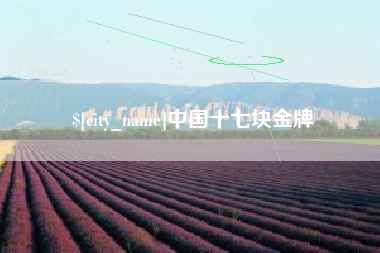 克孜勒苏柯尔克孜中国十七块金牌
