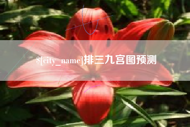 克孜勒苏柯尔克孜排三九宫图预测