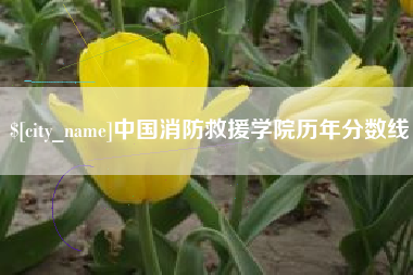 克孜勒苏柯尔克孜中国消防救援学院历年分数线