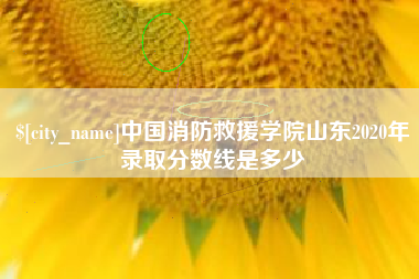 克孜勒苏柯尔克孜中国消防救援学院山东2020年录取分数线是多少