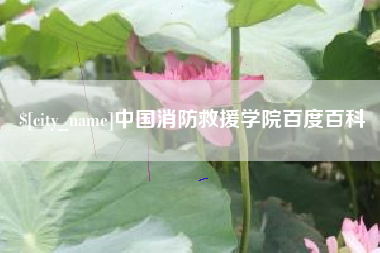 克孜勒苏柯尔克孜中国消防救援学院百度百科