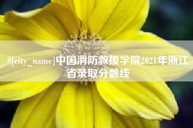 克孜勒苏柯尔克孜中国消防救援学院2021年浙江省录取分数线