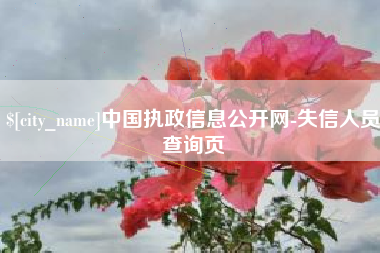 克孜勒苏柯尔克孜中国执政信息公开网-失信人员查询页
