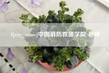 克孜勒苏柯尔克孜中国消防救援学院 老师