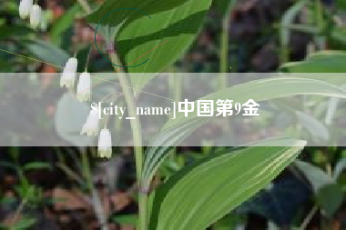 克孜勒苏柯尔克孜中国第9金