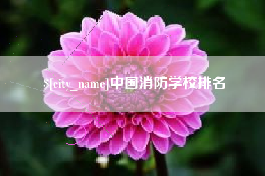 克孜勒苏柯尔克孜中国消防学校排名