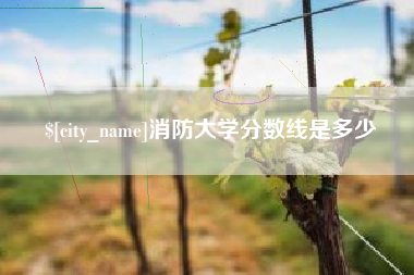 克孜勒苏柯尔克孜消防大学分数线是多少