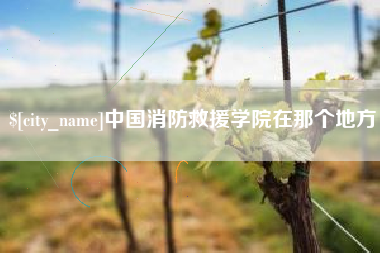 克孜勒苏柯尔克孜中国消防救援学院在那个地方