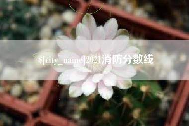 克孜勒苏柯尔克孜2021消防分数线