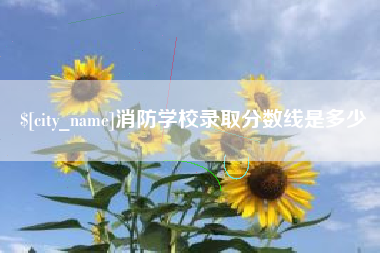 克孜勒苏柯尔克孜消防学校录取分数线是多少