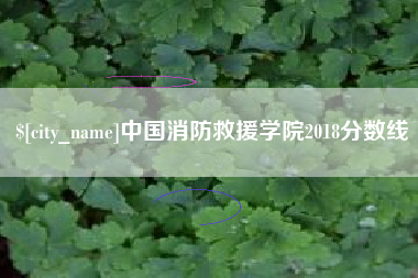 克孜勒苏柯尔克孜中国消防救援学院2018分数线