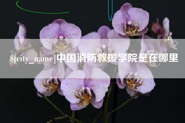 克孜勒苏柯尔克孜中国消防救援学院是在哪里