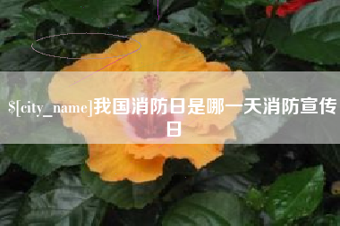 克孜勒苏柯尔克孜我国消防日是哪一天消防宣传日