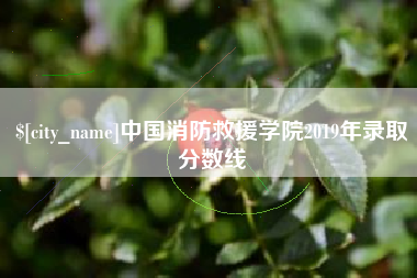 克孜勒苏柯尔克孜中国消防救援学院2019年录取分数线