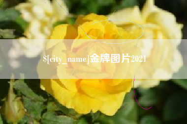 克孜勒苏柯尔克孜金牌图片2021