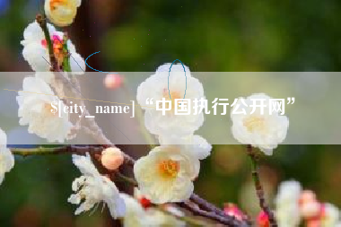 克孜勒苏柯尔克孜“中国执行公开网”