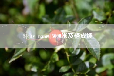 克孜勒苏柯尔克孜5000米及格成绩