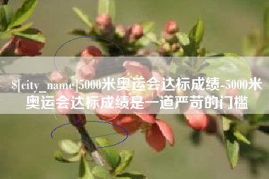 克孜勒苏柯尔克孜5000米奥运会达标成绩-5000米奥运会达标成绩是一道严苛的门槛
