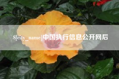 克孜勒苏柯尔克孜中国执行信息公开网后