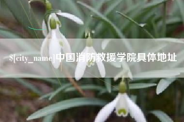 克孜勒苏柯尔克孜中国消防救援学院具体地址
