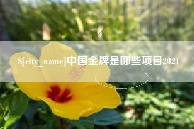 克孜勒苏柯尔克孜中国金牌是哪些项目2021