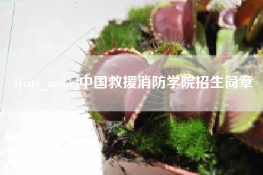 克孜勒苏柯尔克孜中国救援消防学院招生简章
