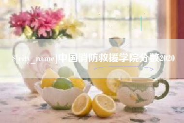 克孜勒苏柯尔克孜中国消防救援学院分数2020