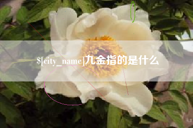 克孜勒苏柯尔克孜九金指的是什么