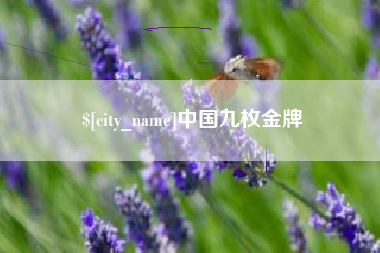 克孜勒苏柯尔克孜中国九枚金牌