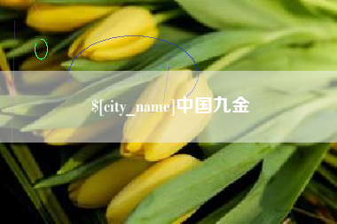 克孜勒苏柯尔克孜中国九金