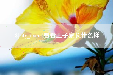 克孜勒苏柯尔克孜看看王子豪长什么样