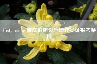 克孜勒苏柯尔克孜重庆消防设施操作员证报考条件