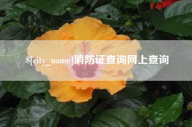 克孜勒苏柯尔克孜消防证查询网上查询
