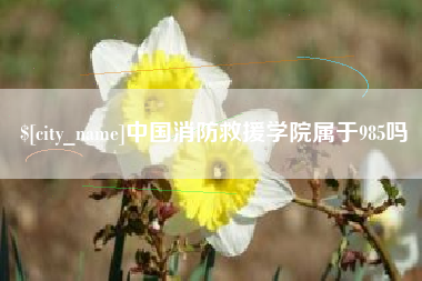 克孜勒苏柯尔克孜中国消防救援学院属于985吗
