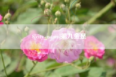 克孜勒苏柯尔克孜第九金是
