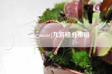 克孜勒苏柯尔克孜九宫格分布图