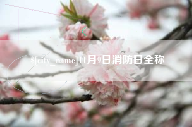 克孜勒苏柯尔克孜11月9日消防日全称