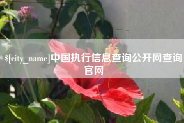 克孜勒苏柯尔克孜中国执行信息查询公开网查询官网