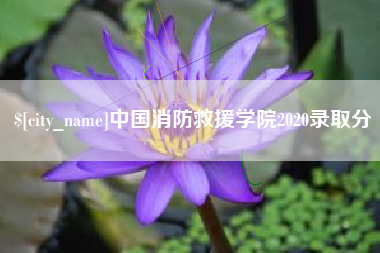 克孜勒苏柯尔克孜中国消防救援学院2020录取分