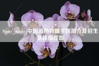 克孜勒苏柯尔克孜中国消防救援学院简介及招生章程指挥部