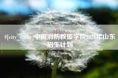 克孜勒苏柯尔克孜中国消防救援学院2021年山东招生计划