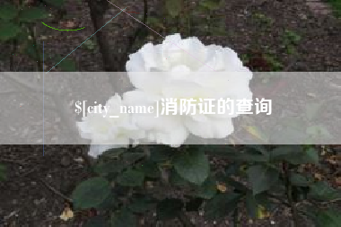 克孜勒苏柯尔克孜消防证的查询