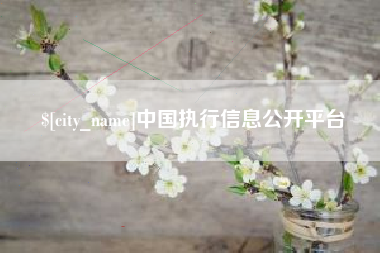 克孜勒苏柯尔克孜中国执行信息公开平台