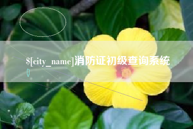 克孜勒苏柯尔克孜消防证初级查询系统