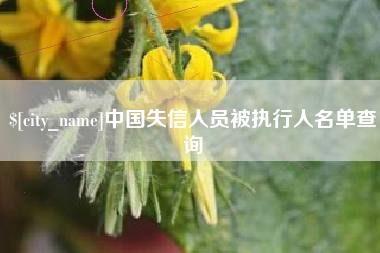 克孜勒苏柯尔克孜中国失信人员被执行人名单查询
