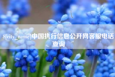 克孜勒苏柯尔克孜中国执行信息公开网客服电话查询