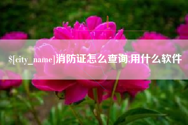 克孜勒苏柯尔克孜消防证怎么查询,用什么软件