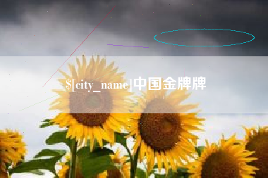 克孜勒苏柯尔克孜中国金牌牌