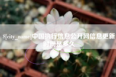克孜勒苏柯尔克孜中国执行信息公开网信息更新时间是多久