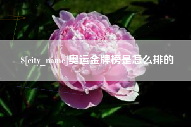 克孜勒苏柯尔克孜奥运金牌榜是怎么排的